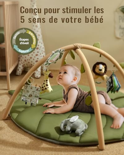 Blissful Diary Tapis déveil Bébé avec Arche Amovible, Forme 