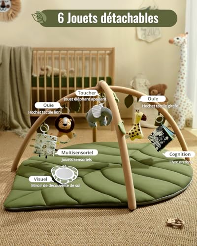 Blissful Diary Tapis déveil Bébé avec Arche Amovible, Forme 